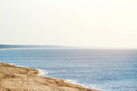 untouched nature in the Curonian Spit reserve toned