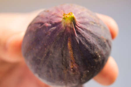 beautiful fresh figsの写真素材