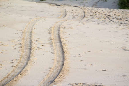 Tire tracks on the sandの写真素材
