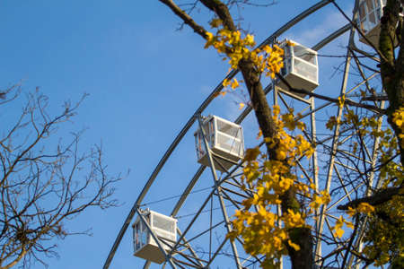 Ferris wheel in the autumn parkの写真素材