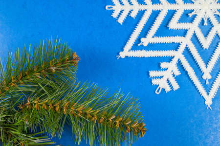 Christmas tree branches and snowflake on a blue background