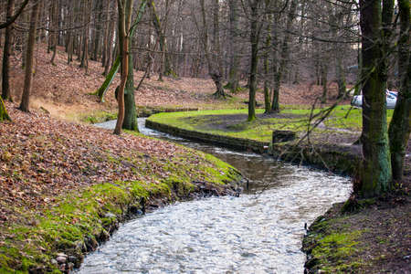 a narrow river among the autumn treesの写真素材