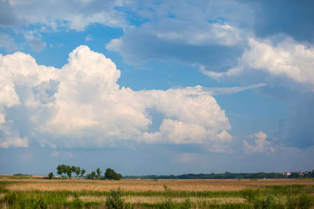 large lush cumulus clouds against a blue skyの写真素材