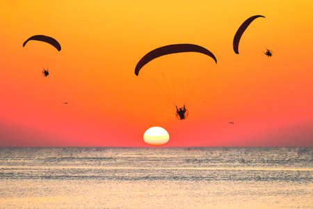 athletes fly on a paraglider over the sea against the backdrop of the setting sun