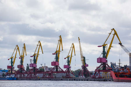 a lot of cargo cranes in the portの写真素材