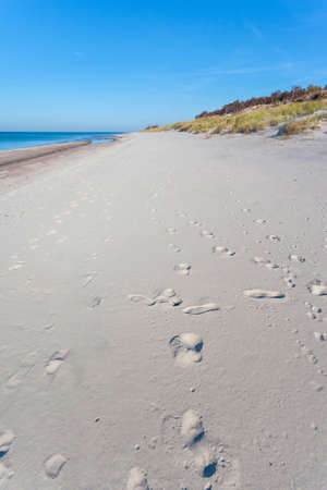 bright wild beach of white sand by the blue sea, Curonian Spit National Parkの写真素材