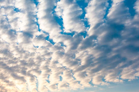 light cirrocumulus clouds in sunset