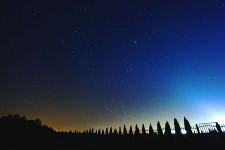 starry sky over the forest with the constellation Orion highlighted, toned