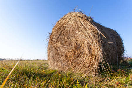haystack roll in a field under the open blue skyの写真素材