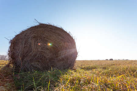 round bale of pressed hay lying in a field on a bright sunny day