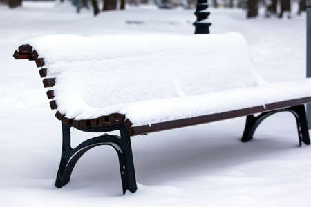 snowy bench in the winter parkの写真素材