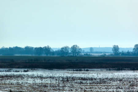 picturesque mystical landscape of marshy fields in blue colors with the silhouette of the forestの写真素材