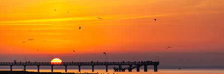 silhouettes of birds in the sky and people watching a bright orange sunset on the sea standing on the pierの写真素材