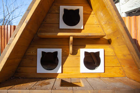 house for cats on the streetの写真素材