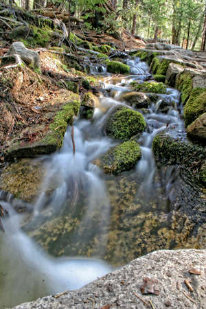 Spring time in Yosemite National Park, California.の写真素材