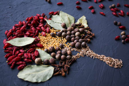 A tree lined with different spices is located on a dark surface. Culinary art.の写真素材