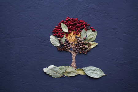 A tree lined with different spices is located on a dark surface. Culinary art.の写真素材