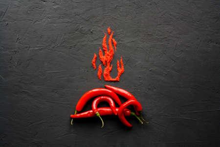 Red hot capsicum with paprika scattered in the form of flame petalsの写真素材