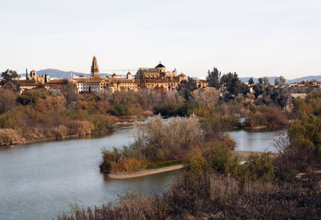 Cathedral next to the mosque of Cordobaの写真素材