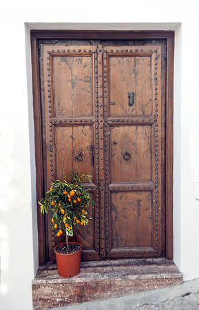 Door decorated with flower pots on a white wallの写真素材