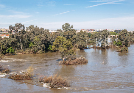 Guadiana river next to the fields of Extremadura on a sunny dayの写真素材