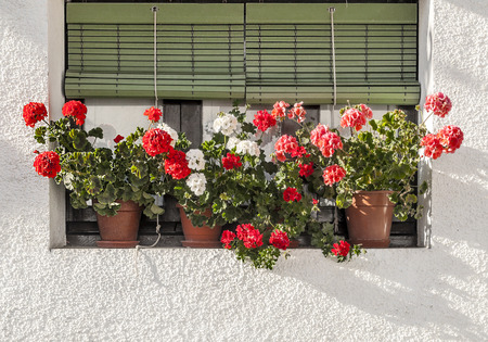 Facade of ancient house decorated with flowersの写真素材