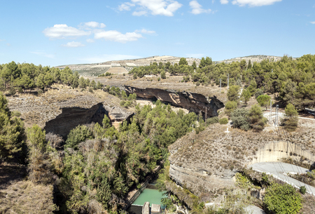 Swamp of the Bermejales in Granadaの写真素材