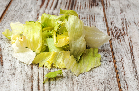 Lettuce surrounded by rustic backgroundの写真素材