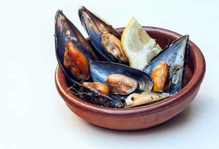 Mussels surrounded by white background