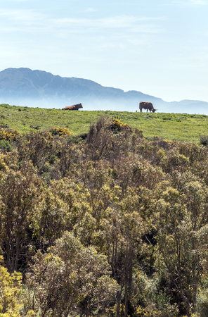 Tarifa beach in Andalusiaの写真素材