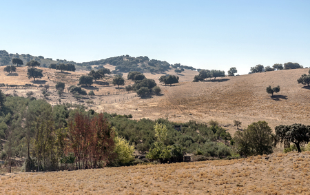 Mountains on a sunny day in the Sierra de Grazalema In Spainの写真素材