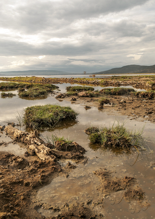 Lake in the jungle of Kenya under a cloudy skyの写真素材
