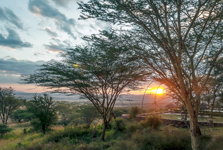 Sunset in the savannah of Tanzaniaの写真素材