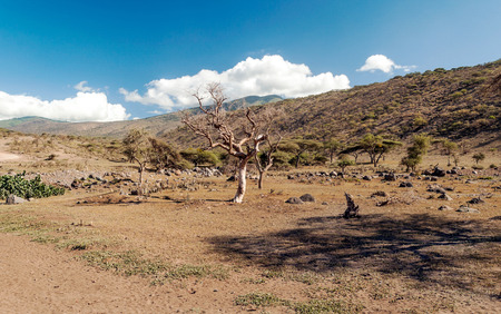 Mountains in Tanzania in the Ngorogoro Valleyの写真素材