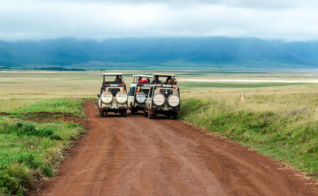 SERENGETI, TANZANIA - MAY 2014. Tourist in jeep safari in the road of National Park of Tanzania. They are traying see animals.のeditorial素材