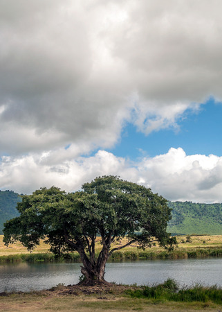 Lake in Tanzania in the Ngorogoro Valleyの写真素材