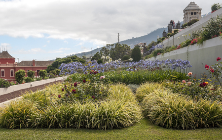 Gardens of the village of La Orotava, in the Canary Islands on a sunny day.の写真素材