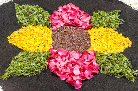 Garden with flower petals in La Orotava on the island of Tenerife.の写真素材