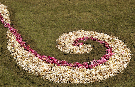 Garden with flower petals in La Orotava on the island of Tenerife.の写真素材