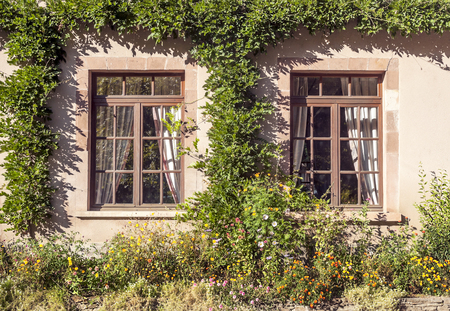 Old window on a wallの写真素材