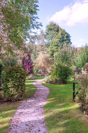 Trees in the French Brittany on a cloudy dayの写真素材