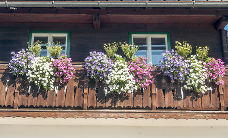 Facade decorated with flowers and potsの写真素材