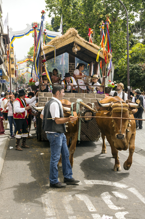 La Orotava, Tenerife, Spain-June 2016. The Pilgrimage of San Isidro Labrador, in La Orotava. The festival is declared of National Tourist Interest and is celebrated after Corpus Christi. The pilgrimage, originated in the seventeenth century, runs through のeditorial素材