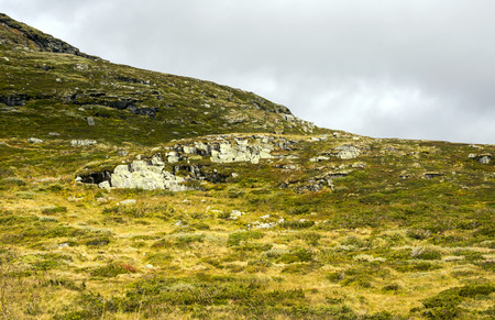 Mountains in the interior of southern Norway on a cloudy day.の写真素材