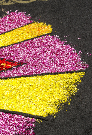 Garden with flower petals in La Orotava on the island of Tenerife.の写真素材