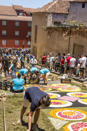 LA OROTAVA CANARY ISLAND SPAIN - JUNE 2018. The people of the town working on the day of Corpus Christi in the flower carpets.のeditorial素材