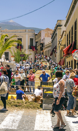 LA OROTAVA CANARY ISLAND SPAIN - JUNE 2018. The people of the town working on the day of Corpus Christi in the flower carpets.のeditorial素材
