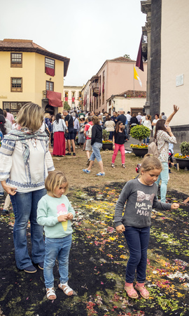 LA OROTAVA CANARY ISLAND SPAIN - JUNE 2018. The people of the town working on the day of Corpus Christi in the flower carpets.のeditorial素材