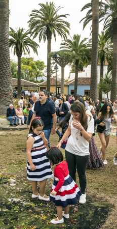 LA OROTAVA CANARY ISLAND SPAIN - JUNE 2018. The people of the town working on the day of Corpus Christi in the flower carpets.のeditorial素材