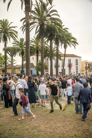 LA OROTAVA CANARY ISLAND SPAIN - JUNE 2018. The people of the town working on the day of Corpus Christi in the flower carpets.のeditorial素材